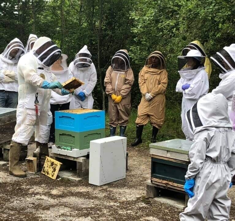 East Africa’s Bee Venom Breakthrough