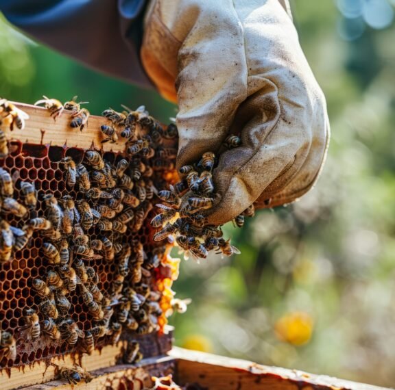 East Africa’s Bee Venom Breakthrough